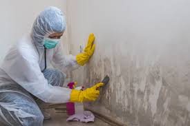 Best Environmental Consulting for Mold Prevention  in White Hall, IL